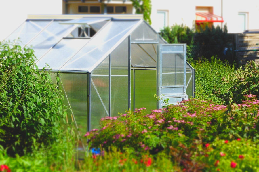 Blick auf ein Gewächshaus in einem Garten