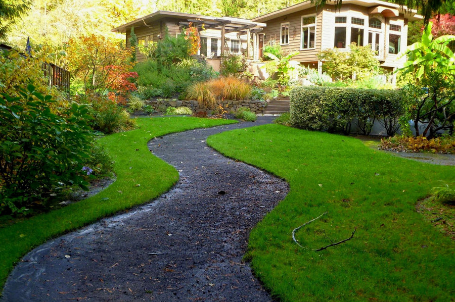Blick auf ein Haus mit Garten