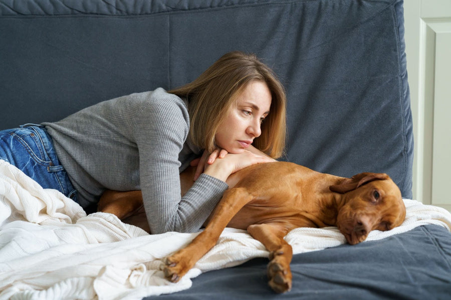 Hund hat 1 Tag keinen Stuhlgang