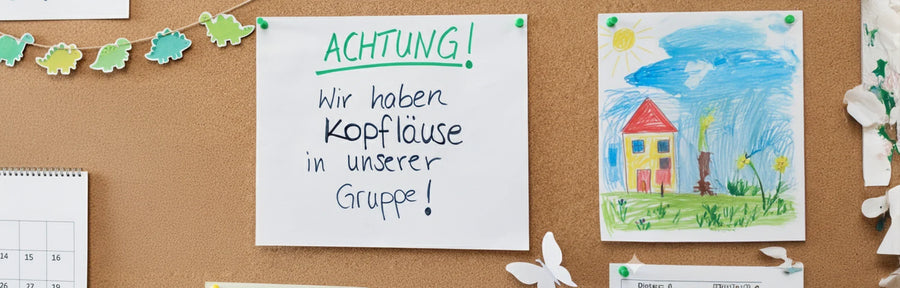 Meldepflicht bei Kopfläusen