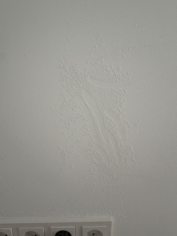 Salzausblühung oder Schimmel? Ein Praxisfall mit Wärmebild und Feuchtemessung