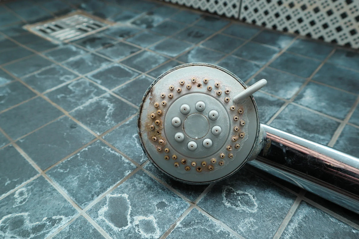 Schimmel in der Dusche entfernen – So wirst du schwarzen Schimmel dauerhaft los