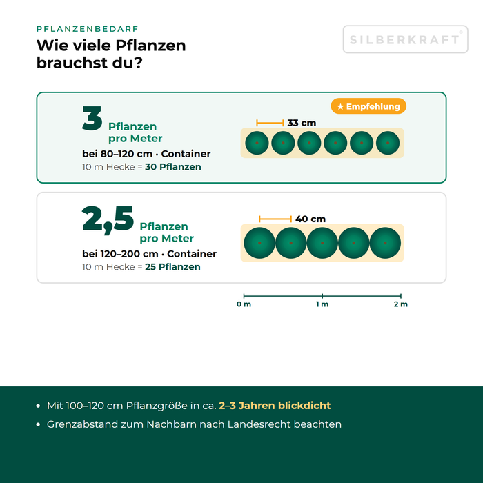 Pflanzenbedarf Gelbe Leylandzypresse 'Gold Rider': 2,5 bis 3 Pflanzen pro Meter Hecke je nach Größe, Pflanzabstand in der Draufsicht