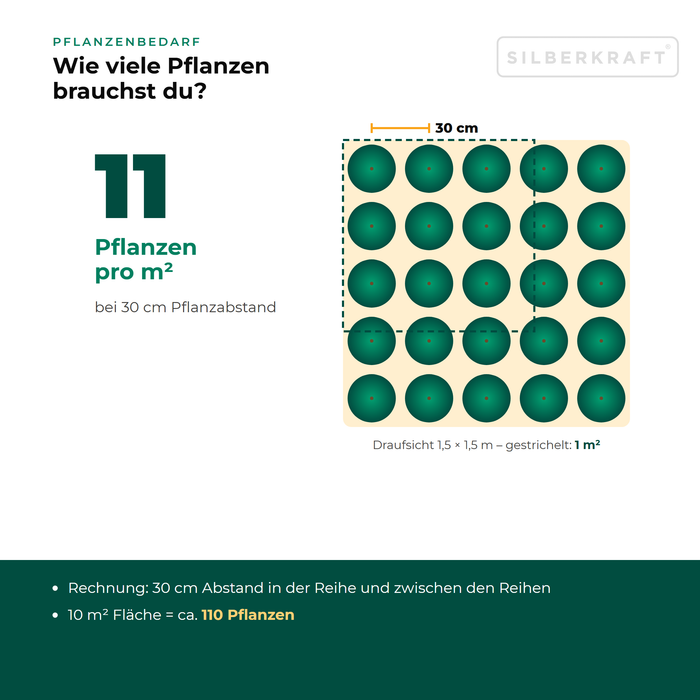 Pflanzenbedarf Kleines Immergrün: ca. 11 Pflanzen pro m² bei 30 cm Pflanzabstand
