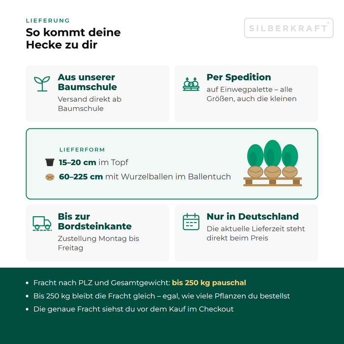 Lieferung Eibe: aus unserer Baumschule per Spedition auf Einwegpalette bis zur Bordsteinkante, nur innerhalb Deutschlands, Fracht bis 250 kg pauschal
