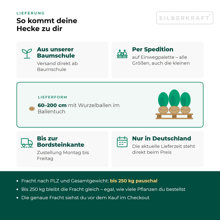 Lieferung Kirschlorbeer 'Novita': aus unserer Baumschule per Spedition auf Einwegpalette bis zur Bordsteinkante, nur innerhalb Deutschlands, Fracht bis 250 kg pauschal