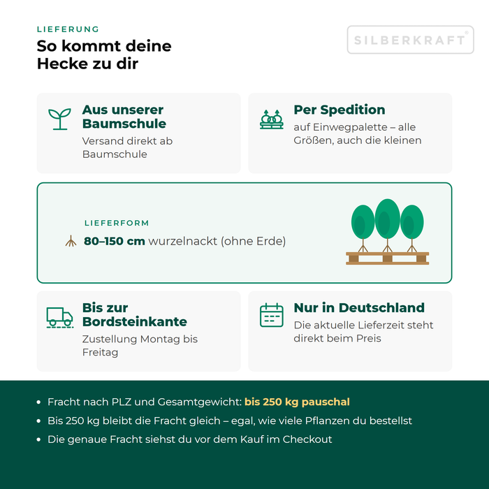 Lieferung Kupfer-Felsenbirne: aus unserer Baumschule per Spedition auf Einwegpalette bis zur Bordsteinkante, nur innerhalb Deutschlands, Fracht bis 250 kg pauschal