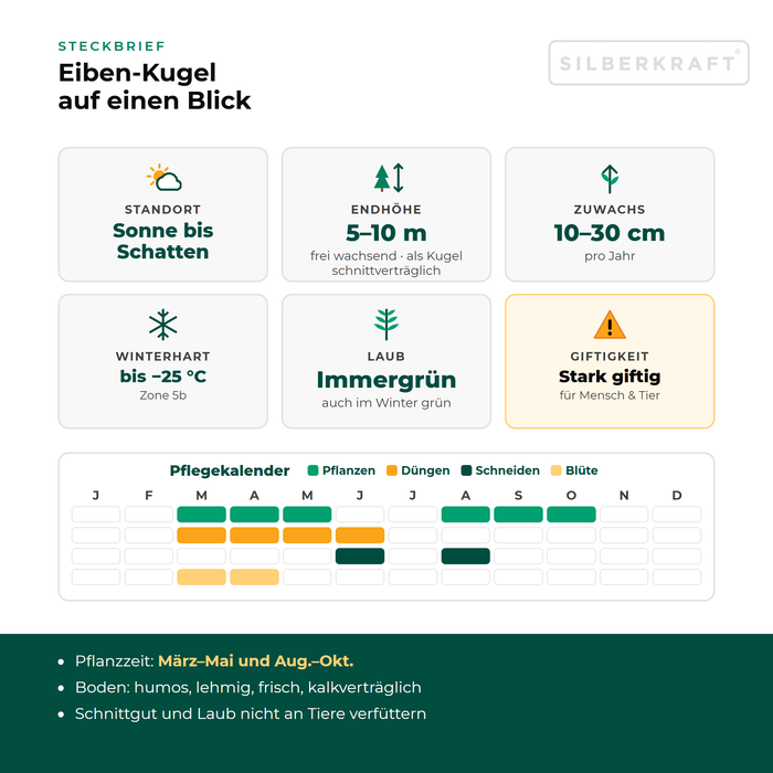 Steckbrief Eiben-Kugel: Standort Sonne bis Schatten, Endhöhe 5–10 m, Zuwachs 10–30 cm pro Jahr, winterhart bis −25 °C – mit Pflegekalender