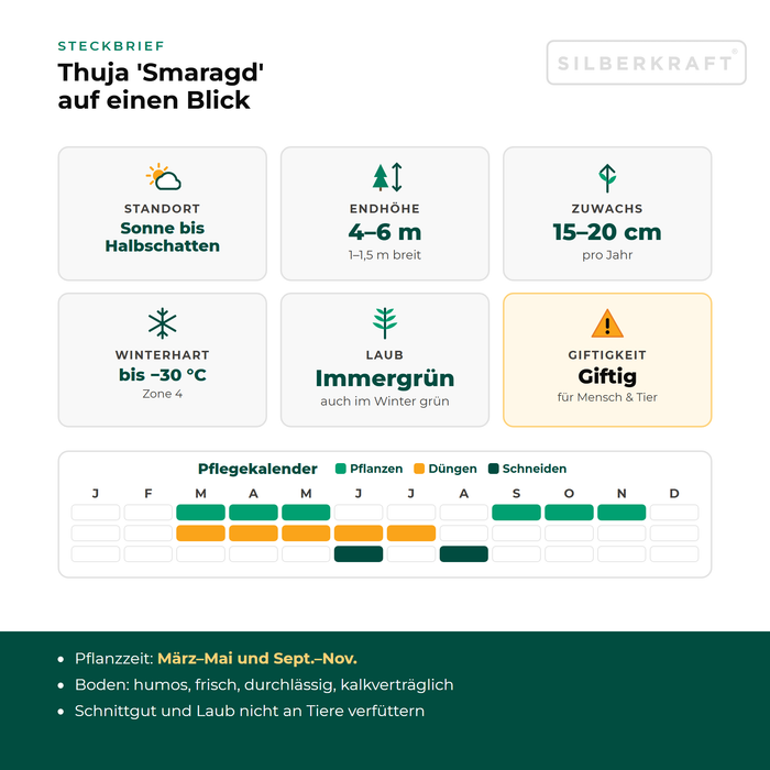Steckbrief Thuja 'Smaragd': Standort Sonne bis Halbschatten, Endhöhe 4–6 m, Zuwachs 15–20 cm pro Jahr, winterhart bis −30 °C – mit Pflegekalender