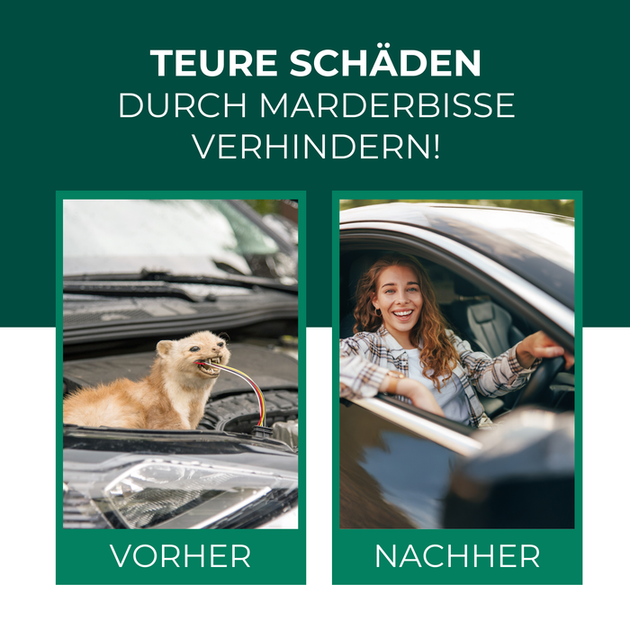 Silberkraft Marderspray – Effektive Marderabwehr im Auto: Verhindert teure Schäden durch Marderbisse an Kabeln und Schläuchen.