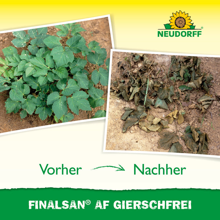 Neudorff Finalsan AF GierschFrei - Silberkraft