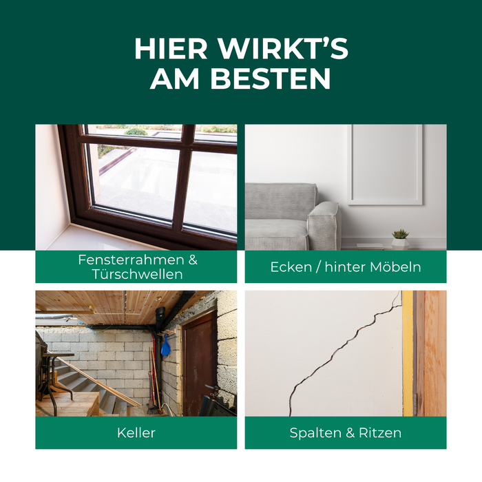 Spinnenspray Anwendung an Fenstern, Türen, Ecken und Keller – langanhaltender Schutz vor Spinnen