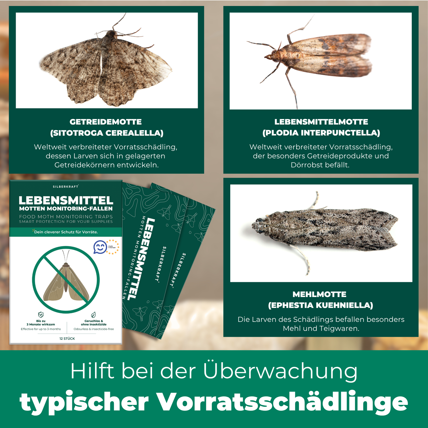 Silberkraft Mottenfallen überwachen Getreidemotten, Lebensmittelmotten und Mehlmotten – ideal für Küche und Vorratsschrank