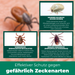 Zeckenfrei-Set - Dein Duo für Schutz & Entfernung - Silberkraft