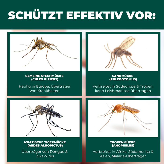 Insektenschutz für Reise- und Kinderbett – Mückennetz 150×70×90 cm – Faltbar & atmungsaktiv – Für Babyreisebett & Beistellbett – Inkl. Transportbeutel - Silberkraft