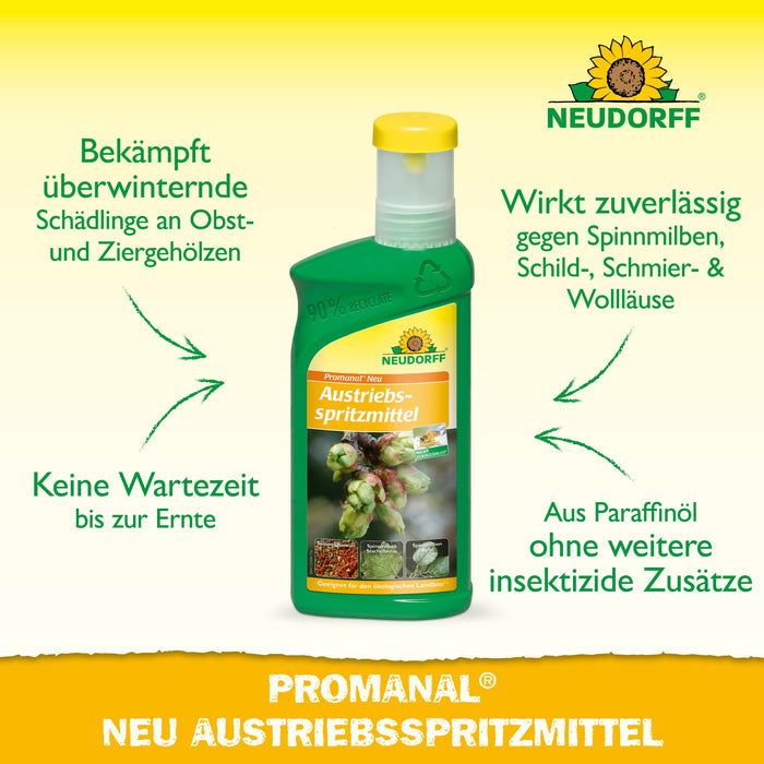 Infografik zum Neudorff Promanal Neu Austriebsspritzmittel mit Flasche und Anwendungshinweisen