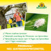 Promanal Neu Austriebsspritzmittel Infografik mit Anwendung im Garten und Schädling auf einem Blatt.