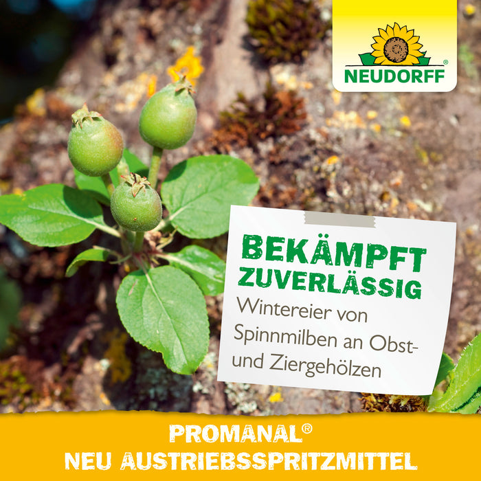 Anwendung von Promanal Neu Austriebsspritzmittel an jungen grünen Apfelfrüchten