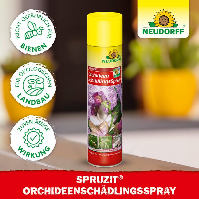 Neudorff Spruzit OrchideenSchädlingsSpray (auch gegen Thripse & Weiße Fliege) - Silberkraft