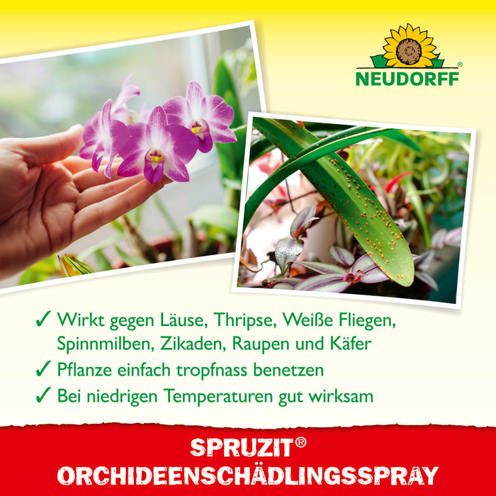 Neudorff Spruzit AF OrchideenSchädlingsFrei - Silberkraft