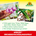 Neudorff Spruzit OrchideenSchädlingsSpray (auch gegen Thripse & Weiße Fliege) - Silberkraft