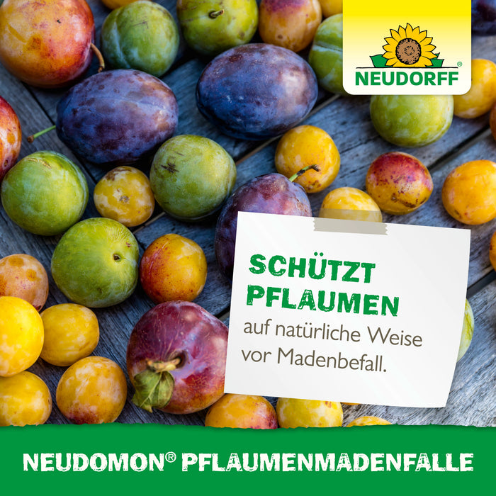 Neudorff Neudomon PflaumenmadenFalle - Silberkraft