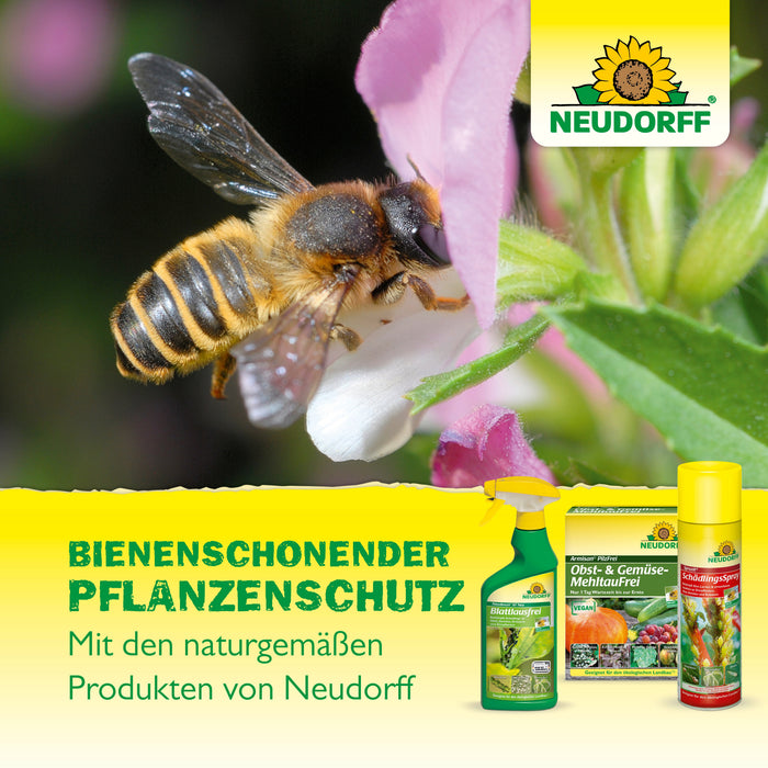 Neudorff Xentari Raupenfrei - Silberkraft