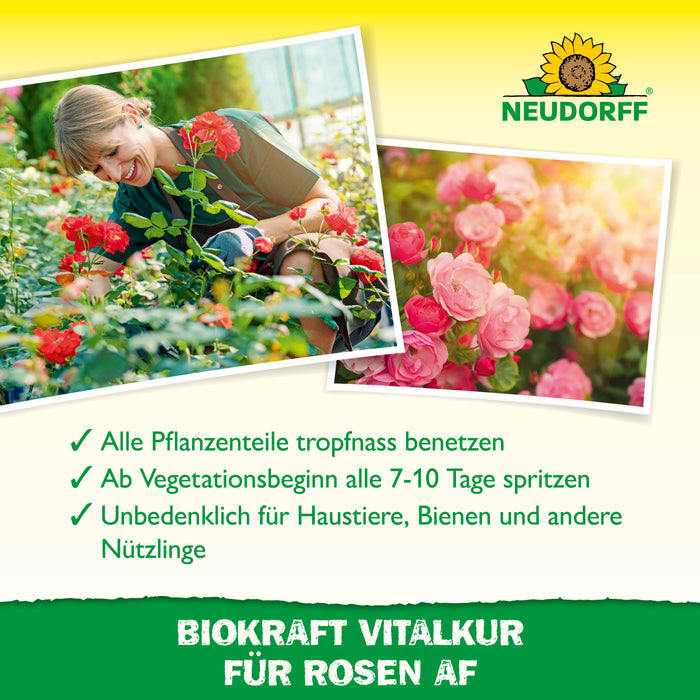 Neudorff BioKraft Vitalkur für Orchideen AF