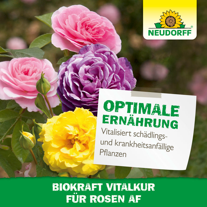 Neudorff BioKraft Vitalkur für Orchideen AF