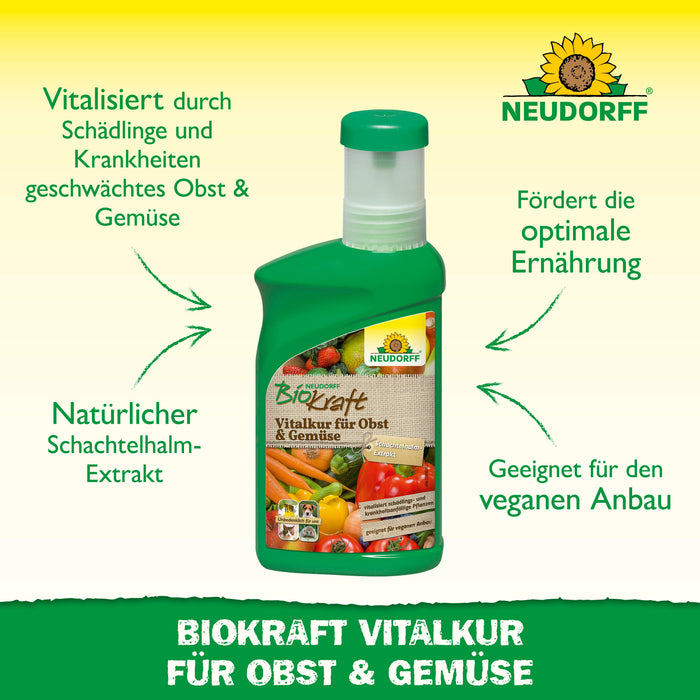 Neudorff BioKraft Vitalkur für Obst und Gemüse - Silberkraft