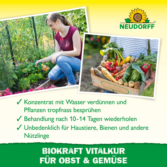 Neudorff BioKraft Vitalkur für Obst und Gemüse - Silberkraft