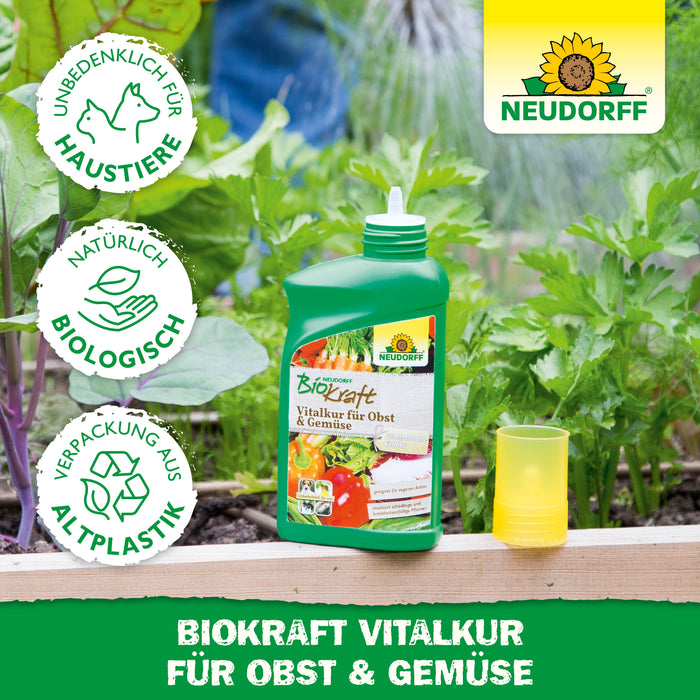 Neudorff BioKraft Vitalkur für Obst und Gemüse - Silberkraft