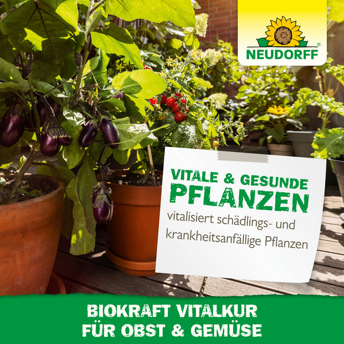 Neudorff BioKraft Vitalkur für Obst und Gemüse - Silberkraft
