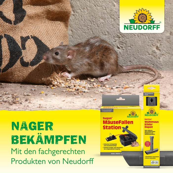 Neudorff Quiritox Wühlmaus-Stopp - Silberkraft