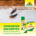 Neudorff Permanent FliegenköderStreifen - Silberkraft