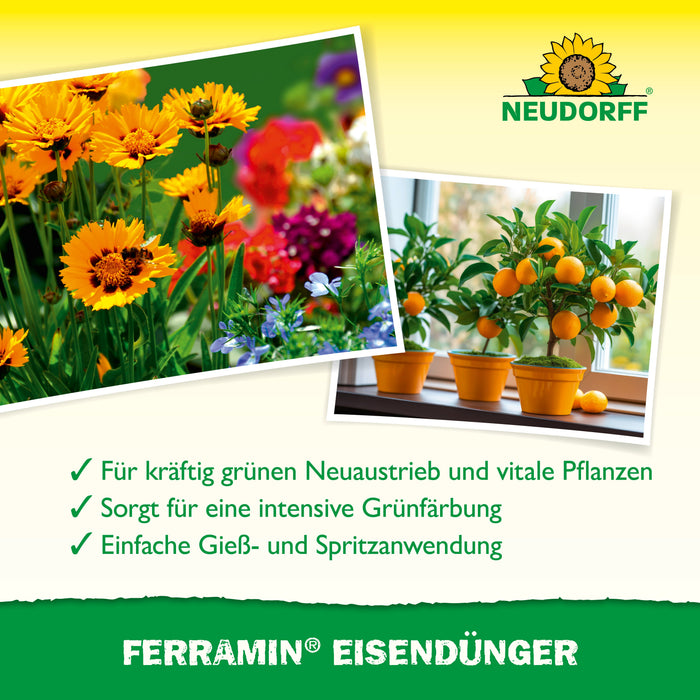 Neudorff Ferramin Eisendünger - Silberkraft