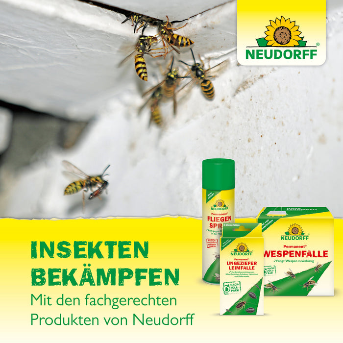 Neudorff Loxiran Ameisenköderbuffet - Silberkraft