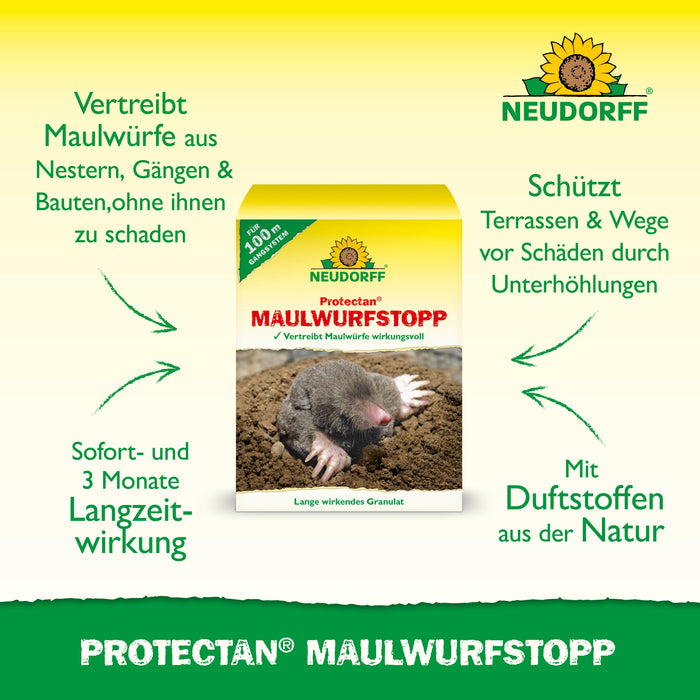 Infografik zum Neudorff Protectan Maulwurf Stopp mit Produktverpackung und Vorteilen wie Langzeitwirkung