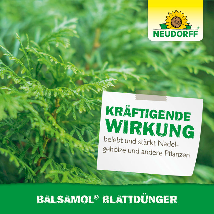 Neudorff Balsamol Blattdünger - Silberkraft
