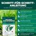 Ein frischer und grüner Salat ist im Hintergrund. Im Vordergrund ist die Verpackung des Produktes Schlupfwespen gegen Weiße Fliegen. 