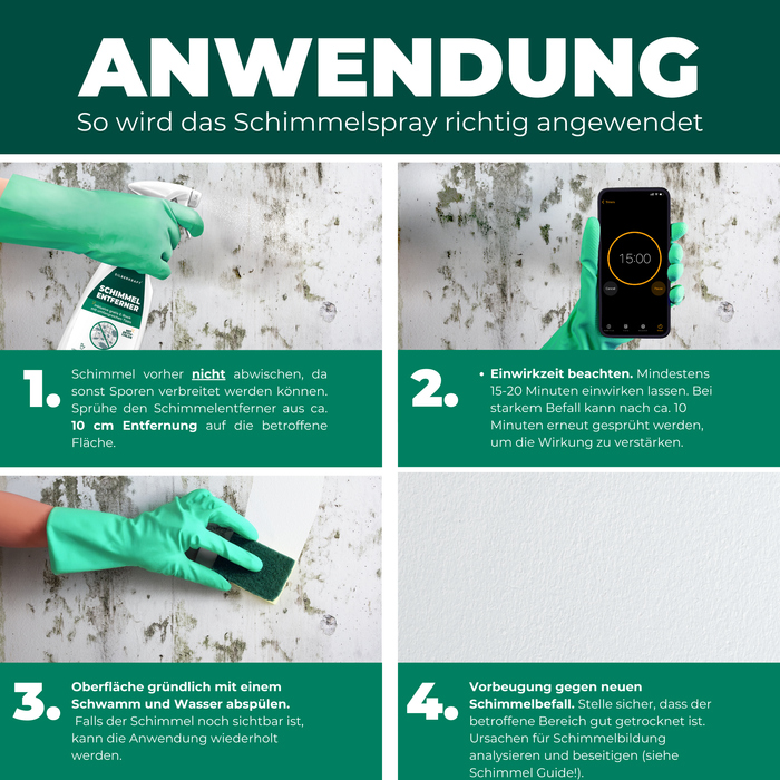 Schimmelentferner / Schimmelspray mit E-Book - Gegen Schimmel & Stockflecken - Silberkraft