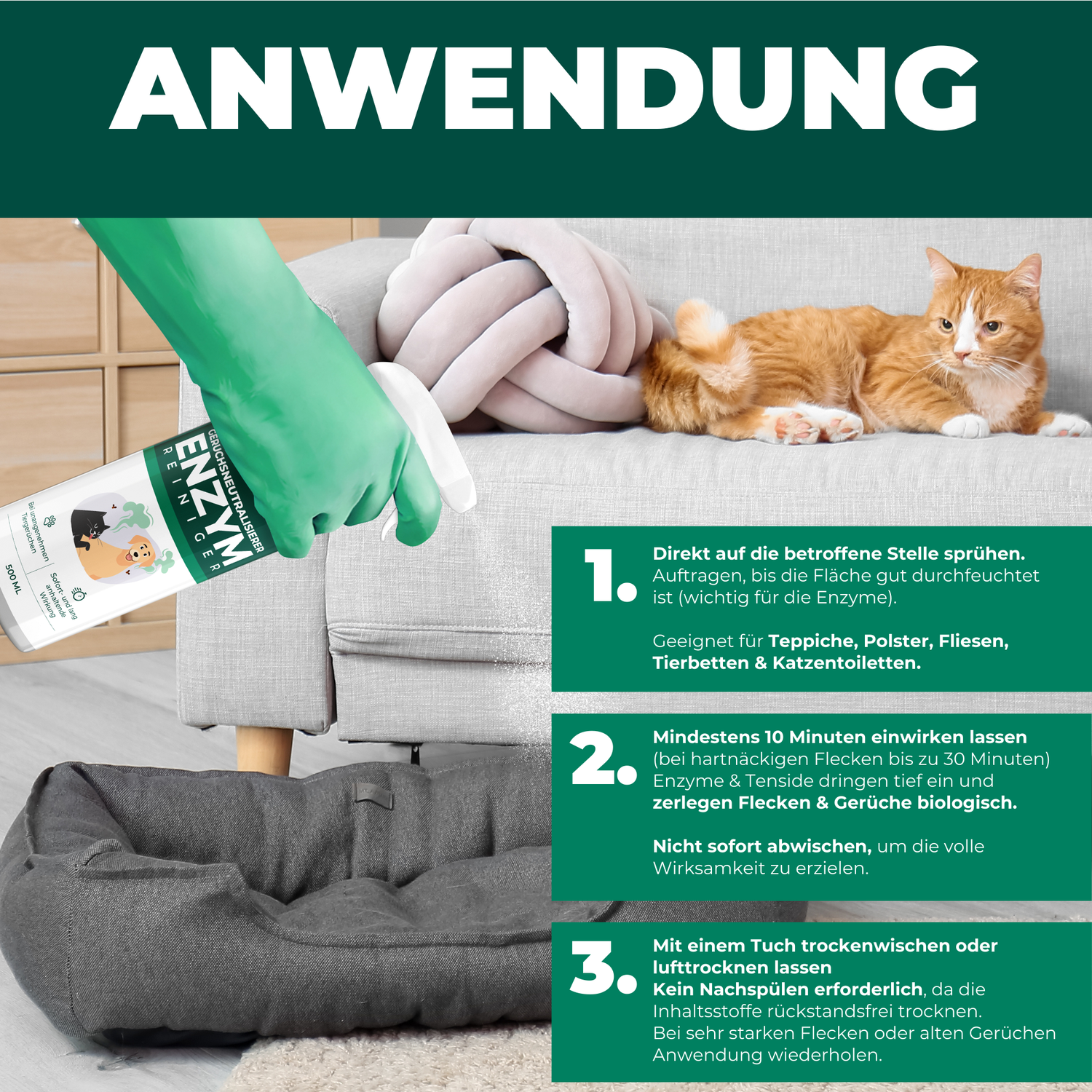 Enzymreiniger Katzen- und Hundeurin sowie Tiergerüche - Silberkraft
