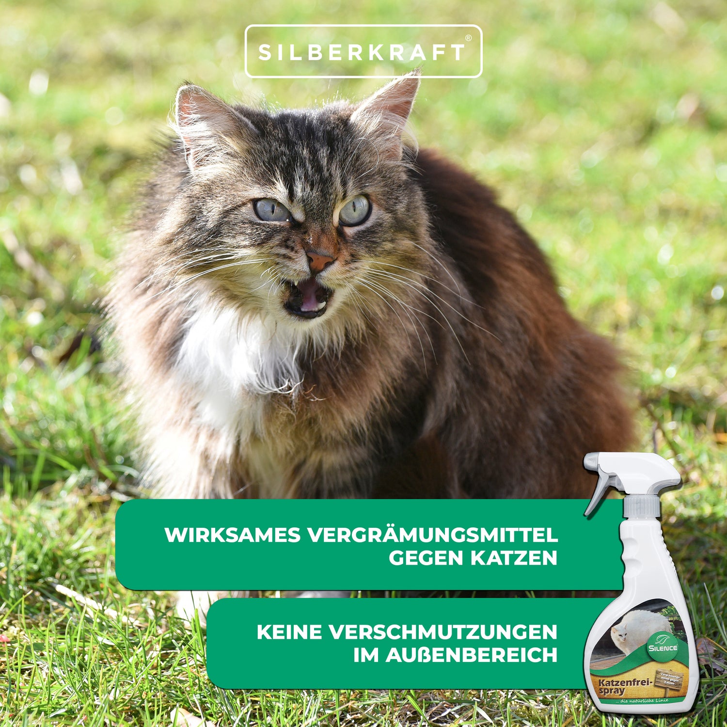 Silence Katzenfrei-Spray: Gebrauchsfertiges Sprühmittel zur Vergrämung von Katzen - Silberkraft