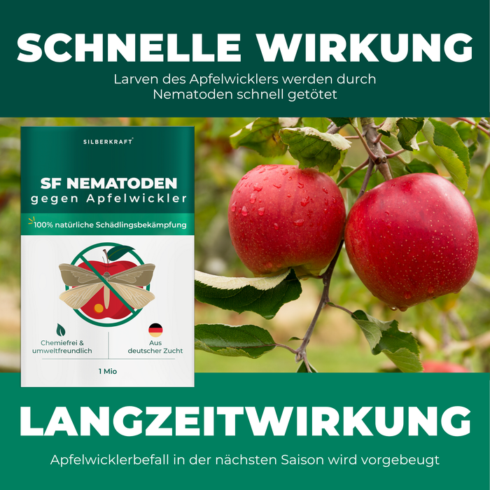 SF Nematoden gegen Apfelwickler - Silberkraft