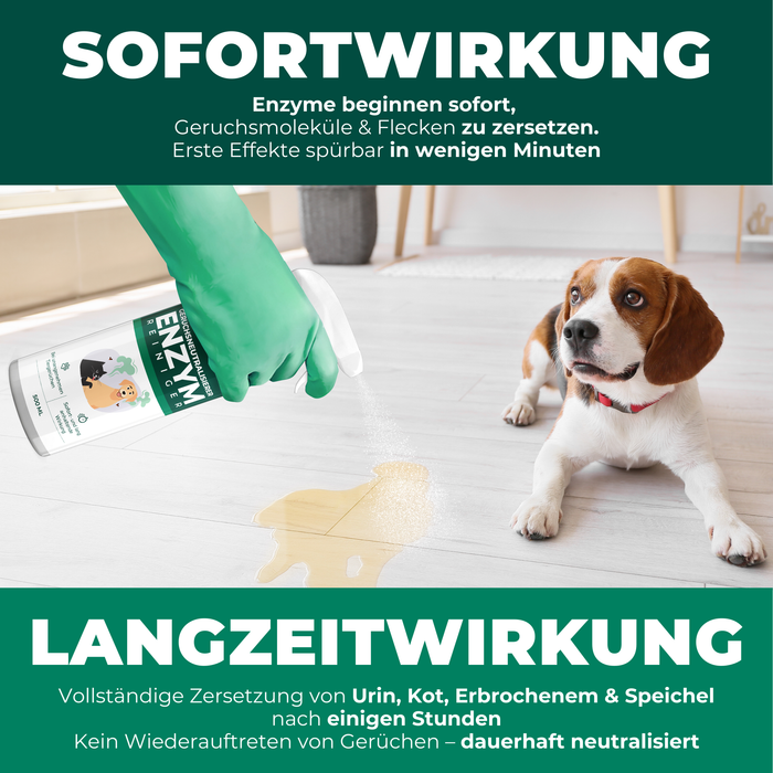 Enzymreiniger Katzen- und Hundeurin sowie Tiergerüche - Silberkraft