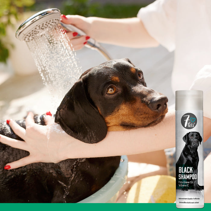 Black Shampoo - Hundeshampoo für dunkelfarbiges Fell - Silberkraft