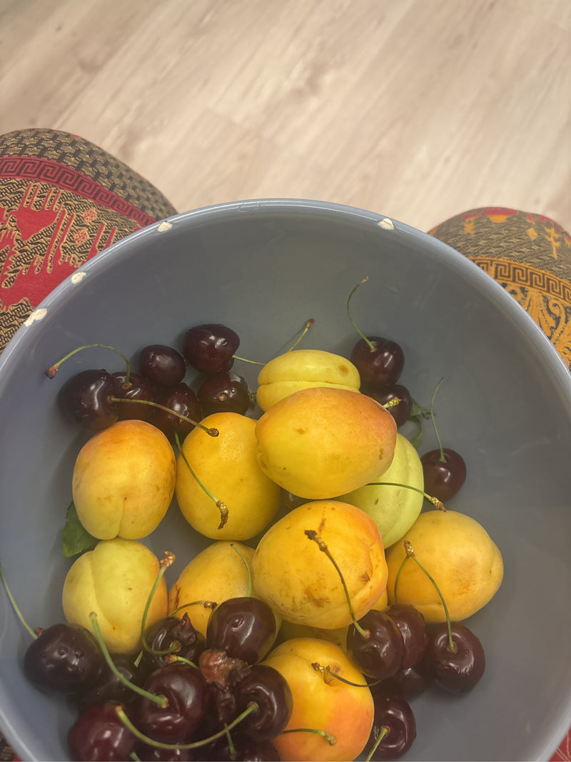 Mehrere reife Aprikosen und dunkle Kirschen liegen zusammen in einer blauen Schüssel. Die Früchte sind gut zu erkennen.