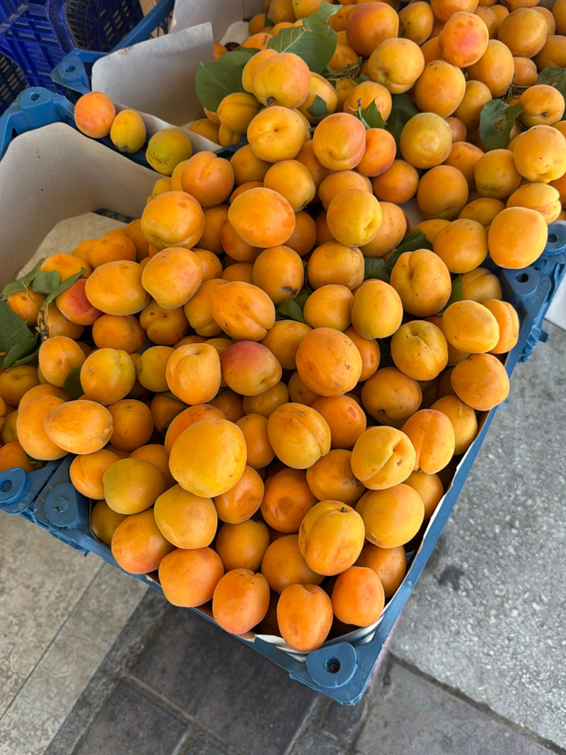 Zahlreiche reife, orangefarbene Aprikosen liegen dicht gedrängt in blauen Transportkisten. Einige grüne Blätter sind zwischen den Früchten zu erkennen.