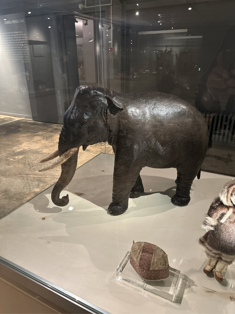 Asiatischer Elefant — Bild 3 von 5