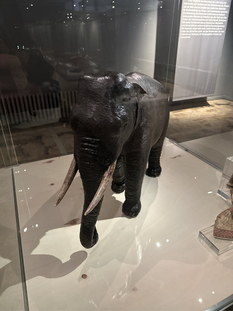 Asiatischer Elefant — Bild 5 von 5